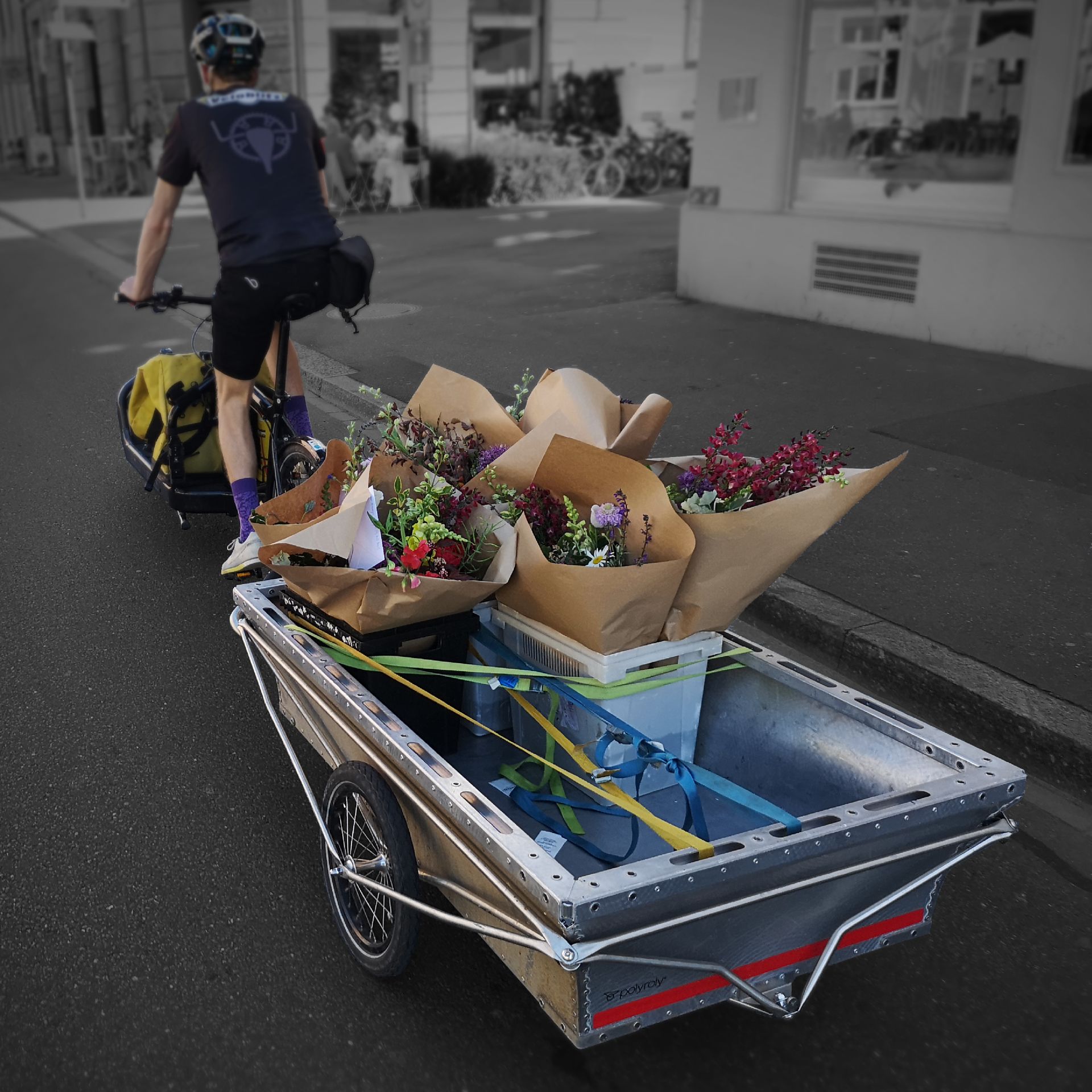 Bike-Courier with polyroly COURIER Cargo-Trailer