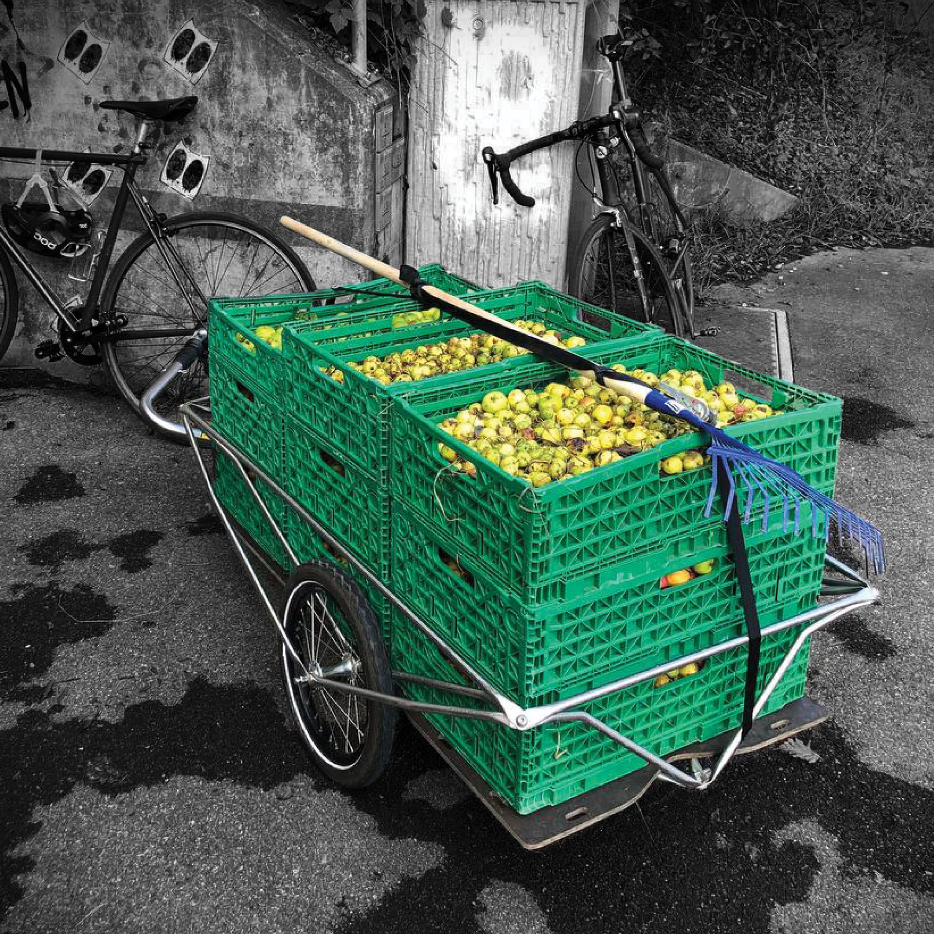 Transport with polyroly BOX 3.0 Cargo-Trailer