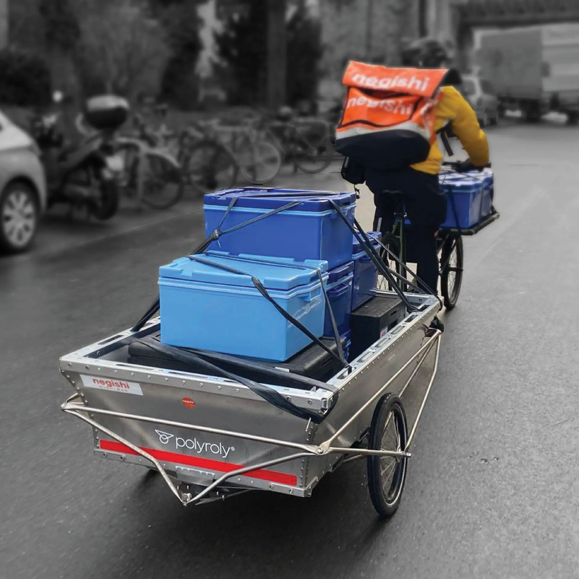 Bike-Courier with polyroly COURIER Cargo-Trailer